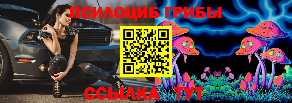 Псилоцибиновые грибы прущие грибы  Вход с VPN  Псилоцибиновые грибы мицелий  Нефтекамск 